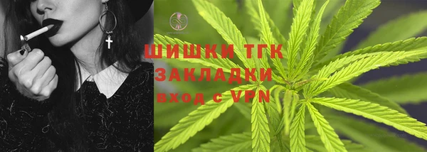 прущие грибы Бородино