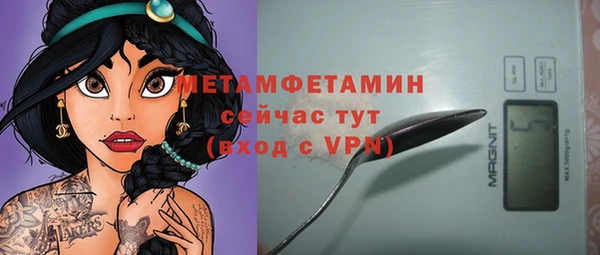 прущие грибы Бронницы