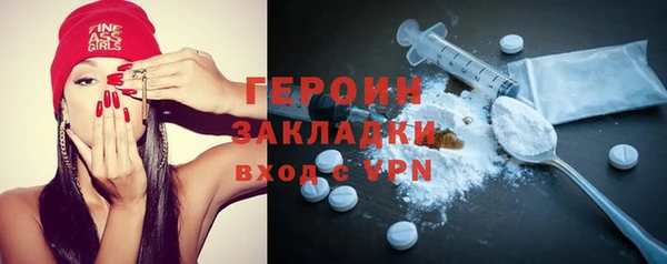 прущие грибы Бородино