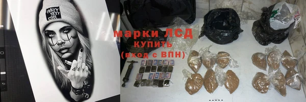 прущие грибы Бородино