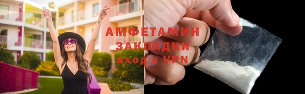 прущие грибы Бронницы