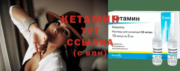 прущие грибы Бородино