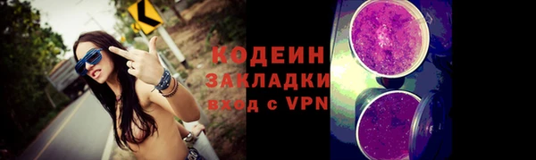 прущие грибы Бородино