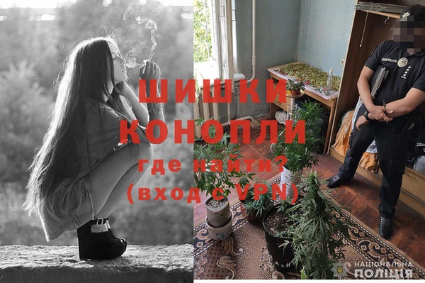 тгк Верея