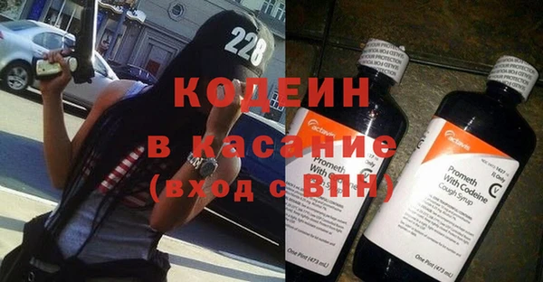 прущие грибы Бородино