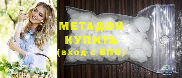 прущие грибы Бородино