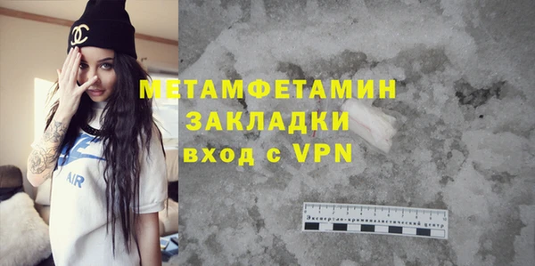 прущие грибы Бронницы