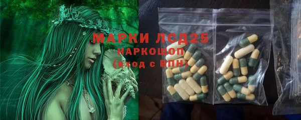 прущие грибы Бронницы